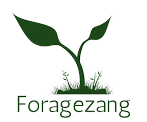 My Foraging App